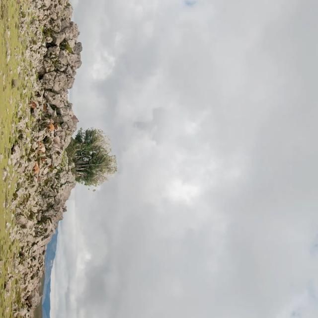 shui|陈燕:光不度,shui水成文