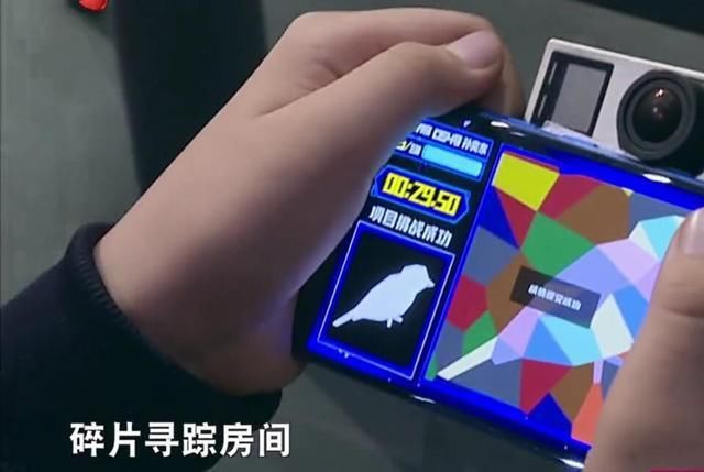  节目|《大脑7》下期题目太难？回看杨易孙勇的入门赛才知道：没法比