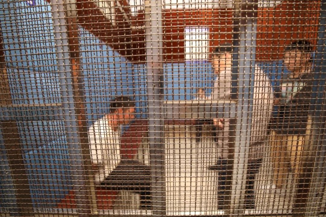 小时|怀疑被背叛，离异男持刀当街杀死女友及其哥哥，警方32小时破案