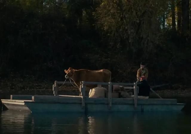  口碑|今年口碑最好的新片，是一个温柔的荒蛮故事