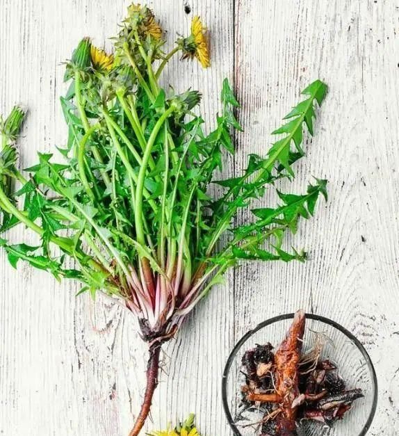 查出|夫妻先后查出肝癌，提醒：想要肝好，这种油最好一口别碰！