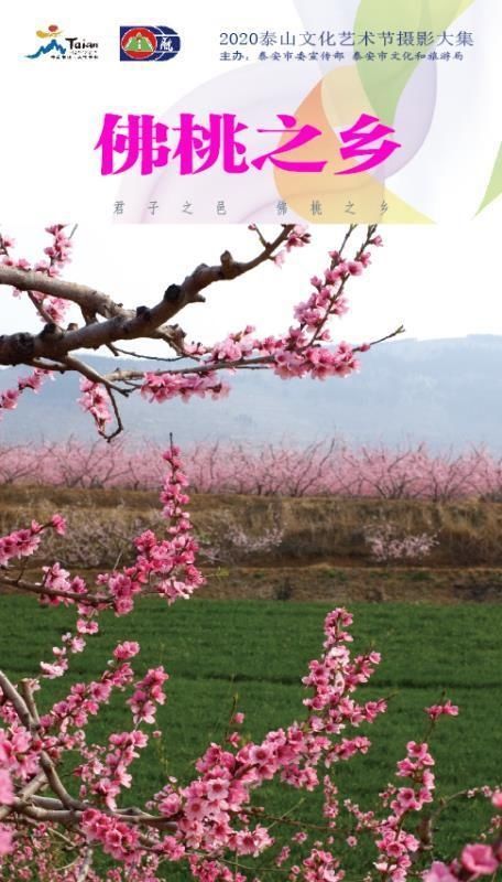 看不见|看不见的泰山 赏不尽的泰安