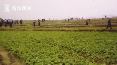 肥西县公安局|他背负命案逍遥法外 21年后民警突然破门而入...