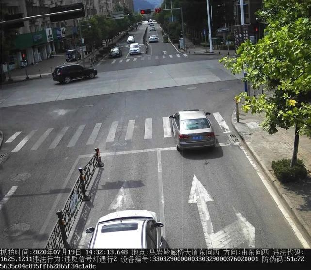 驾驶机动车违反道路|泰顺这些车主被曝光！