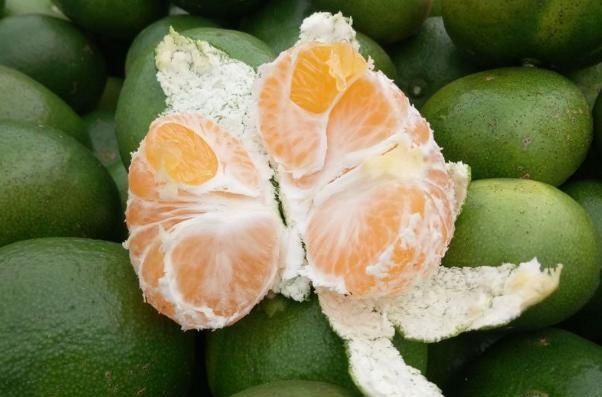 绿皮橘子|秋天到了,买橘子记得挑母的,大妈教我4招小技巧,一挑一个准