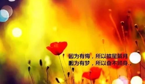  昨天|昨天，属于过去；明天，属于未来；今天，加倍珍惜，早安