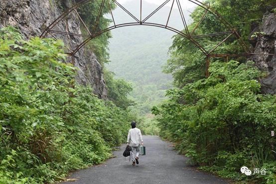  自然声音|这条推送里的声音，太治愈了
