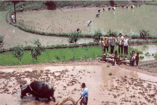 衣服|30年前的农村温暖老照片，图3的游戏很多人记得，图9在做新年衣服