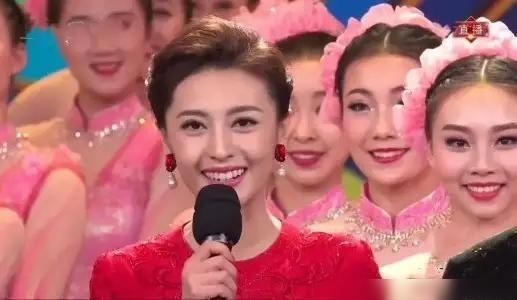  中国诗词大|董卿又一王牌节目被人替代，网友意难平，表示心疼董卿