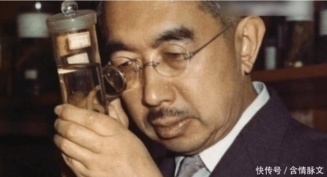 首相|张作霖被炸身亡，为何日本天皇勃然大怒，连撤陆军大臣与首相