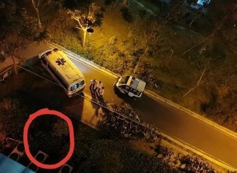 默哀|南京大学女博士跳楼身亡，校园自发默哀，知情人：疑遭导师针对学业压力大