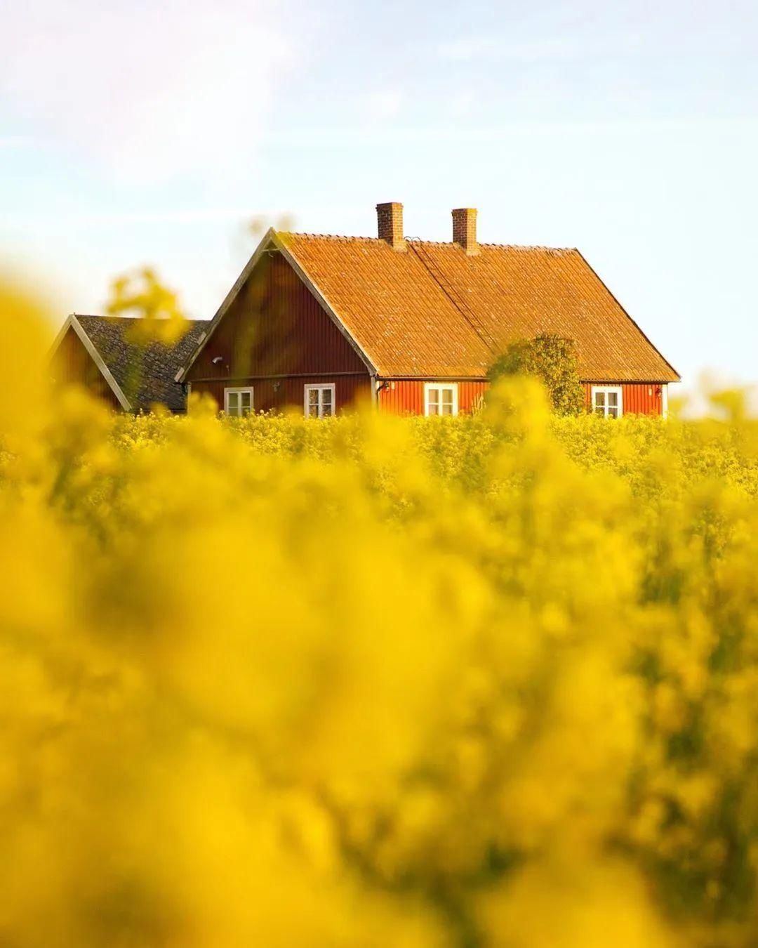  不止|瑞典的美，不止一种颜色！