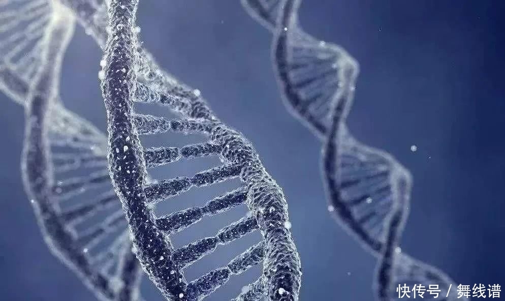 护肤品|基础成分大起底!看完别再说你不会选护肤品啦