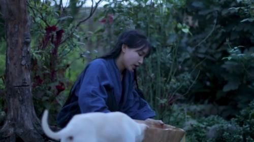  李子|李子柒做板栗炖鸡！看清无滤镜下照片后，网友：白给都不吃！