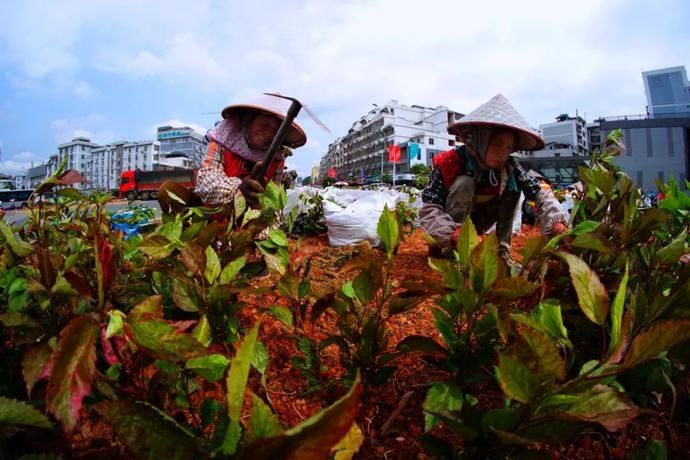 田银海大道|创城随手拍 | 常态化创城下的瞬间