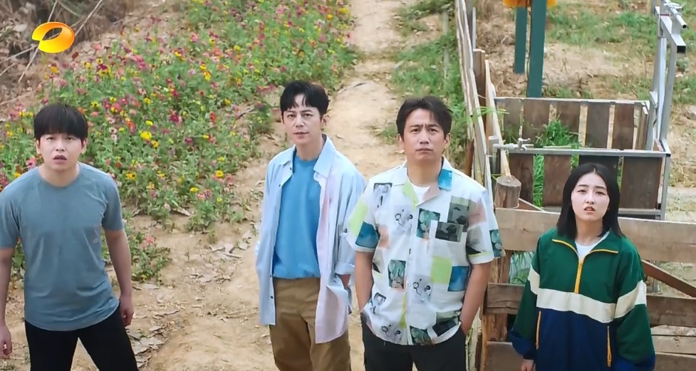 画风|《向往4》更新宣传片,张子枫扛梯子飞奔,蘑菇屋画风跑偏太沙雕