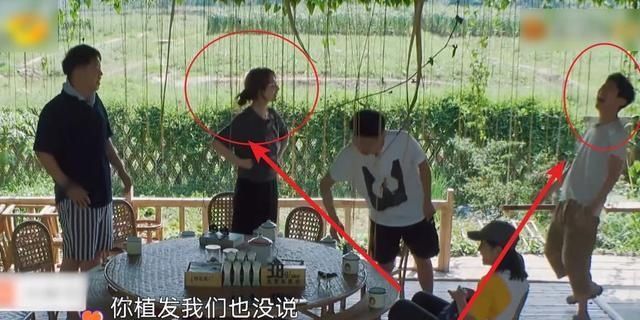 原因|吴昕上《向往的生活》颜值爆表,海涛一句话说明原因,竟惹怒维嘉