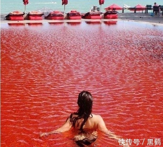水变红|游泳池的水变红, 人们误解女子来“大姨妈”, 原因却让人感到尴尬