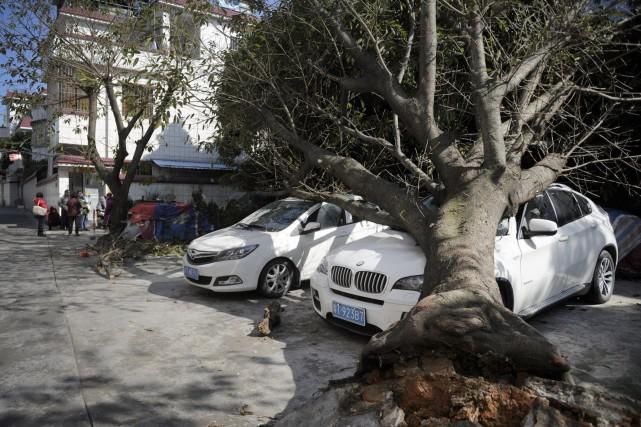  犯罪嫌疑人|80％车主不了解：“天灾人祸”致车损这样报案可全赔，一种情况请迅速报警