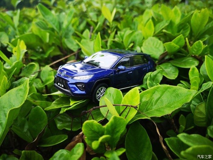 拍摄|拥有威兰达车模,绽放花丛中,说说感受