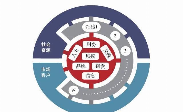  未来|许小年：未来的企业像什么？树、细胞组织，或者……