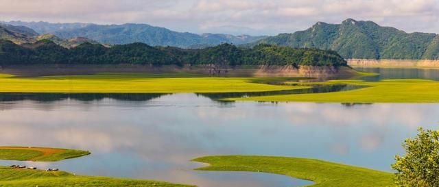 复燃|8月,旧情人心软,主动回头复合,3生肖爱意未减,期待旧情复燃