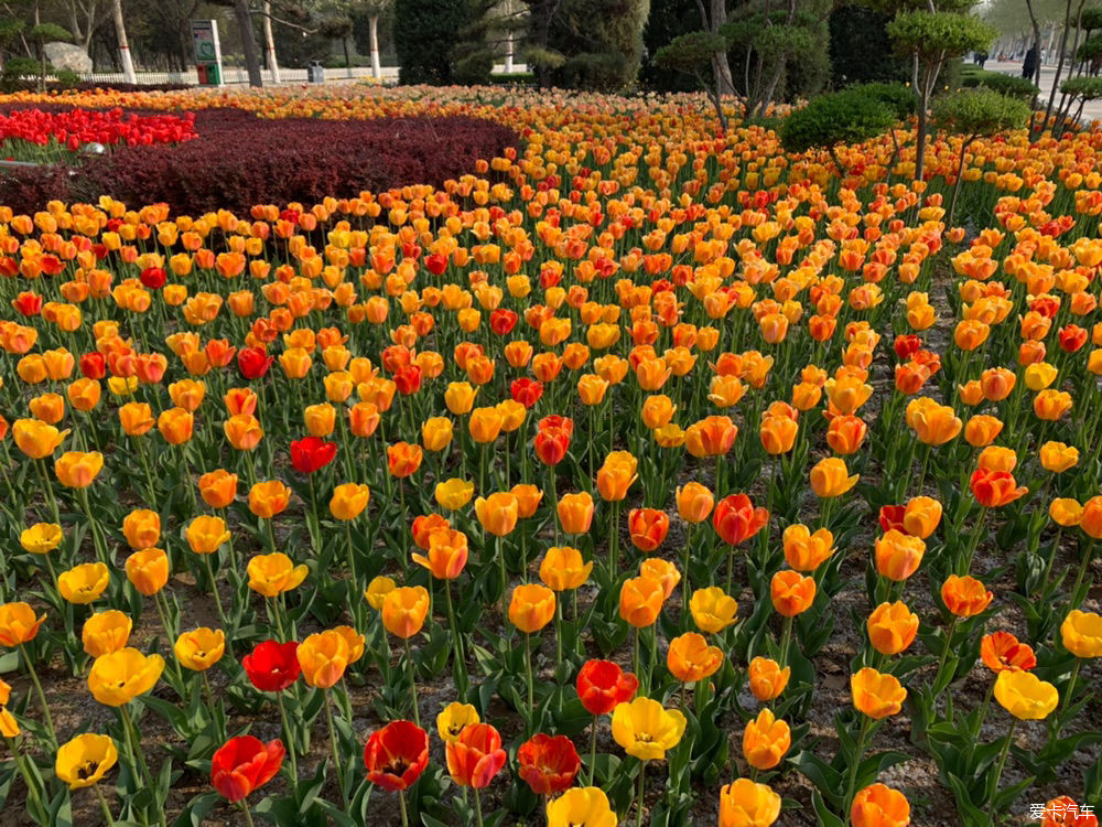  解释|【我们都过了解释的年纪】新的起点，出发吧