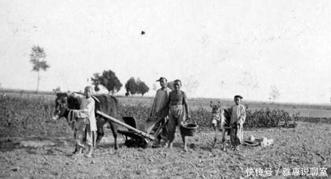 有何|南方人过年为何不是吃饺子 其中是不是有何隐情