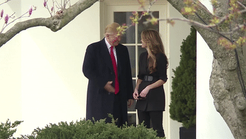 病毒检测|美国总统特朗普及夫人新冠病毒检测结果呈阳性