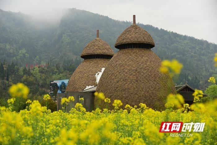 《浣溪沙·过黄龙洞生态广场》庄灿煌