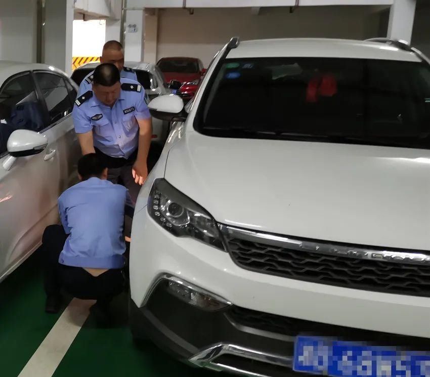 省交警总队|两地三机关联手扣车,执行联动机制大显身手