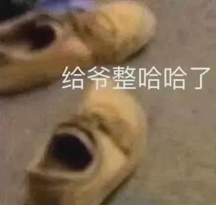  丢脸|司雯嘉，不觉得丢脸吗？