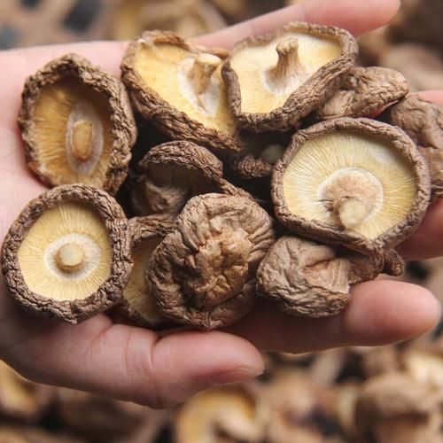  差别|蘑菇要买鲜的还是干的？买贵的还是便宜的？告诉你营养有多大差别