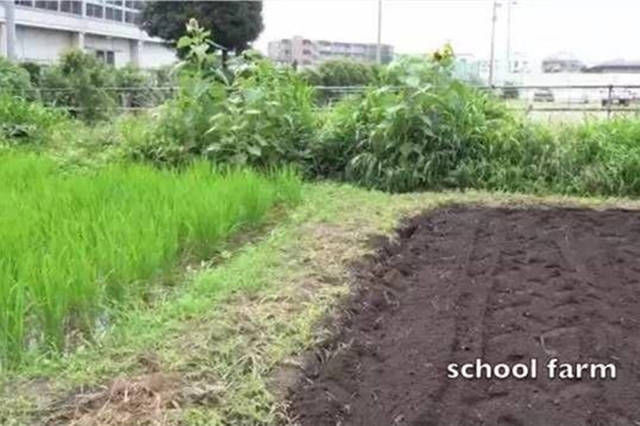 健康|为什么日本儿童的健康状态全球第一？组图揭秘全过程，值得深思