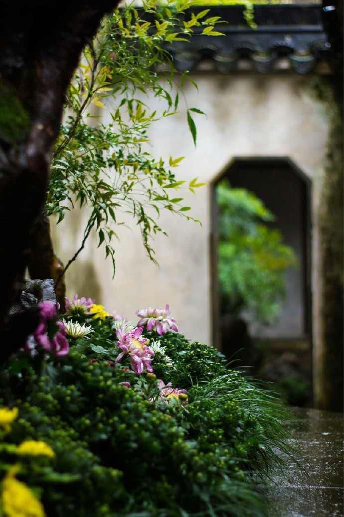  精辟|做人，可以没才， 但千万别没品（精辟）