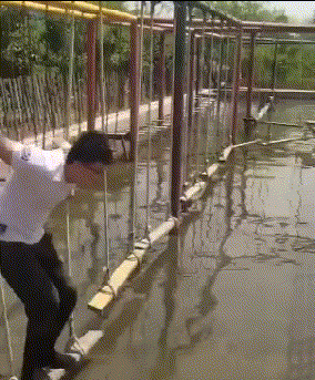  搞笑|搞笑GIF：妈妈真是有耐心！