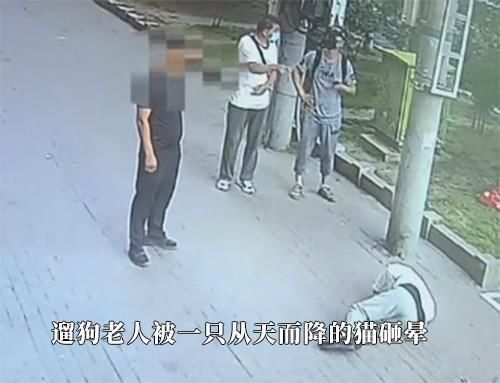  人砸|遛狗老人被高空坠猫砸晕 理发店提供完控视频 第二天门店玻璃被砸