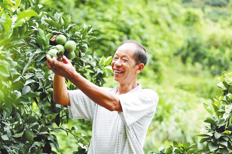  赖福松|收入翻番，幸福生活底气足