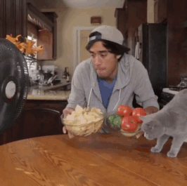 生意|搞笑GIF:这是卖烧饼的?挺形象,生意怎么样!