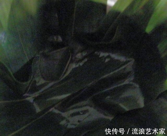  粽叶|带有粽叶香味的香菇鸡腿饭非常适合寒冷和多雨的天气