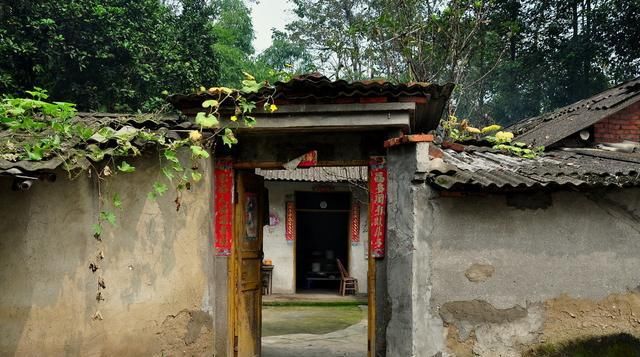  深山|农村大山里，一对70多岁的老夫妻，为了子女独守深山20余载