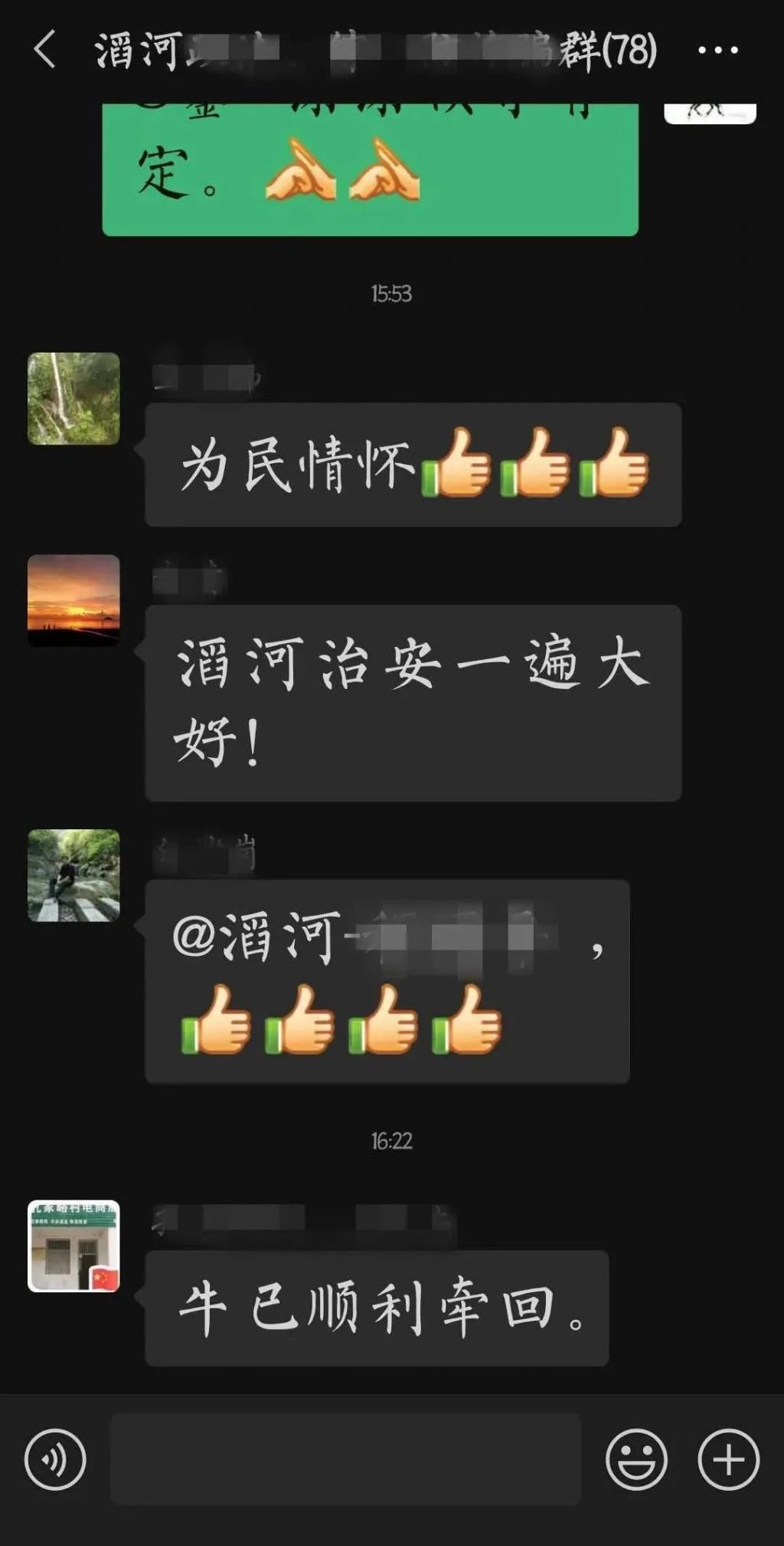  不见|牛？牛不见了！淅川滔河耕牛“离家出走”！