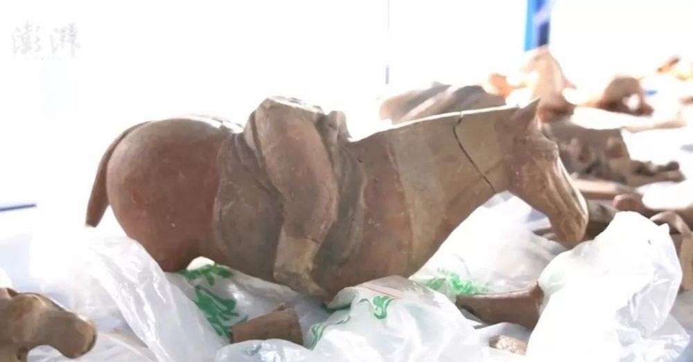 太平公主|太平公主丈夫薛绍墓被发现!网友:想看3d复原薛绍的长相