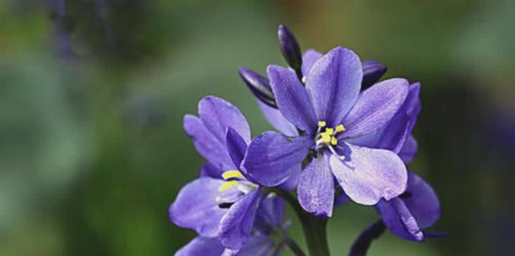 逼人|7月下旬开始财气逼人,事业红火,人生大放光彩的三大生肖