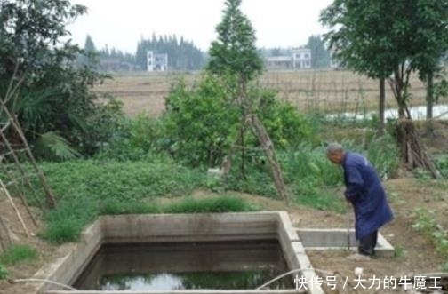  清理|农村“红极一时”的沼气池，为何如今不见踪迹？老农说出大实话