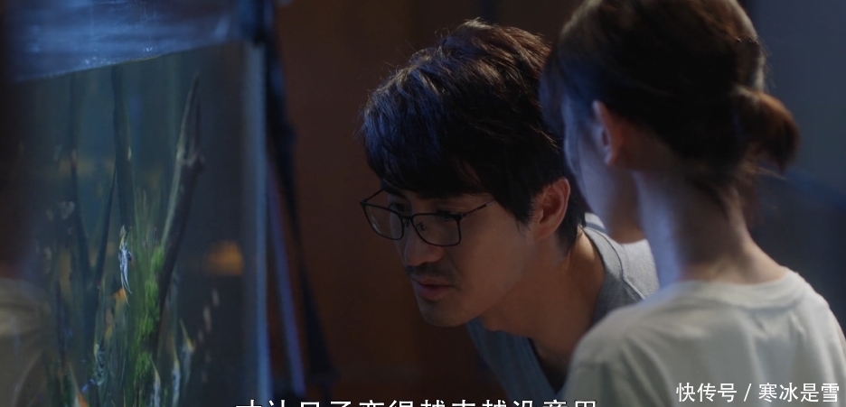 底线|三十而已:钟晓阳追求晓芹有底线尺度,细节剧情说明他有隐藏身份