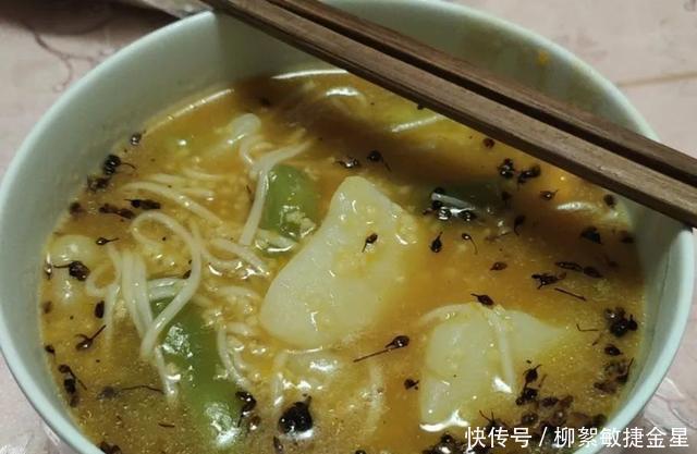 美食|山西太谷区美食指南