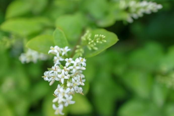 熟悉|初识寡言少语，熟悉了之后像话痨般的星座，还真是两副面孔呢