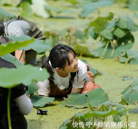  一不小心|向往4演戏痕迹太重张子枫一不小心说出实话，吓得导演都没法提醒