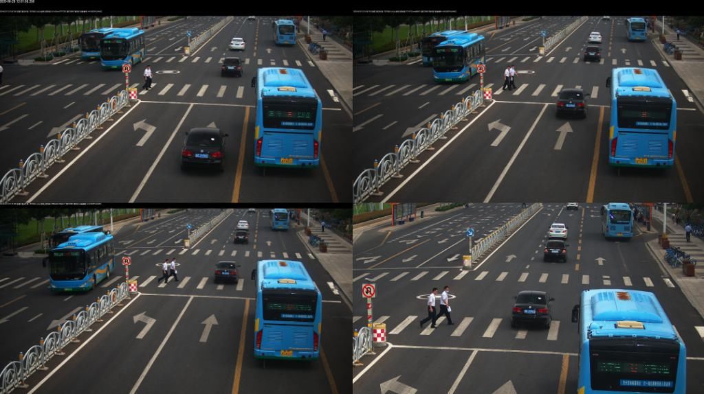 车辆|创城交警在行动丨不礼让斑马线,这些车辆被曝光了!